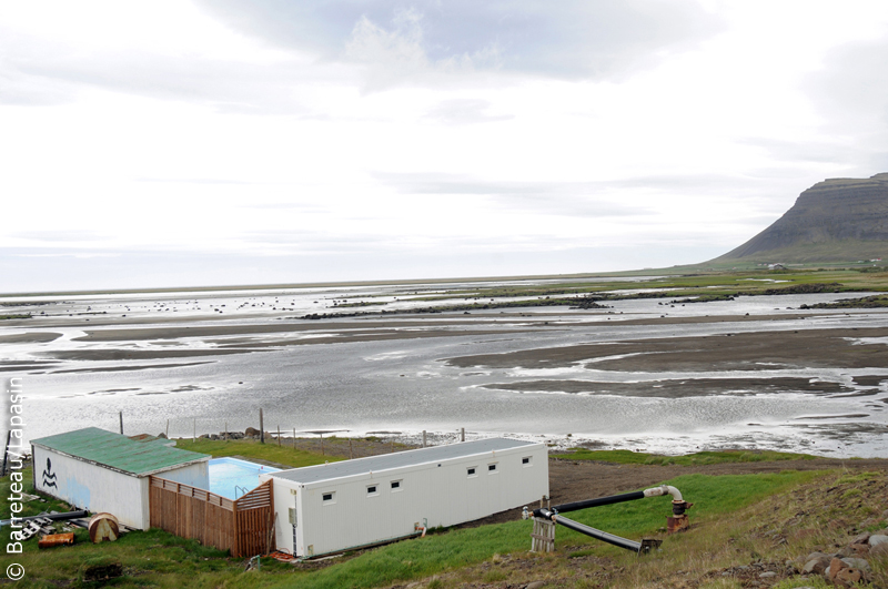 Les photos de Krosslaug à Flatey en Islande
