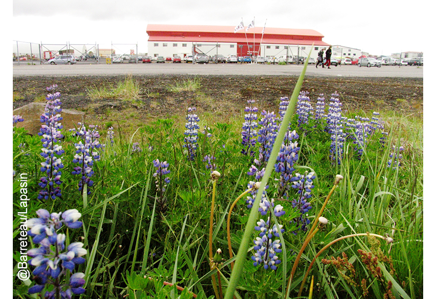 Les photos de l'atmosphère le 02/07/2015 aux ATP Iceland.